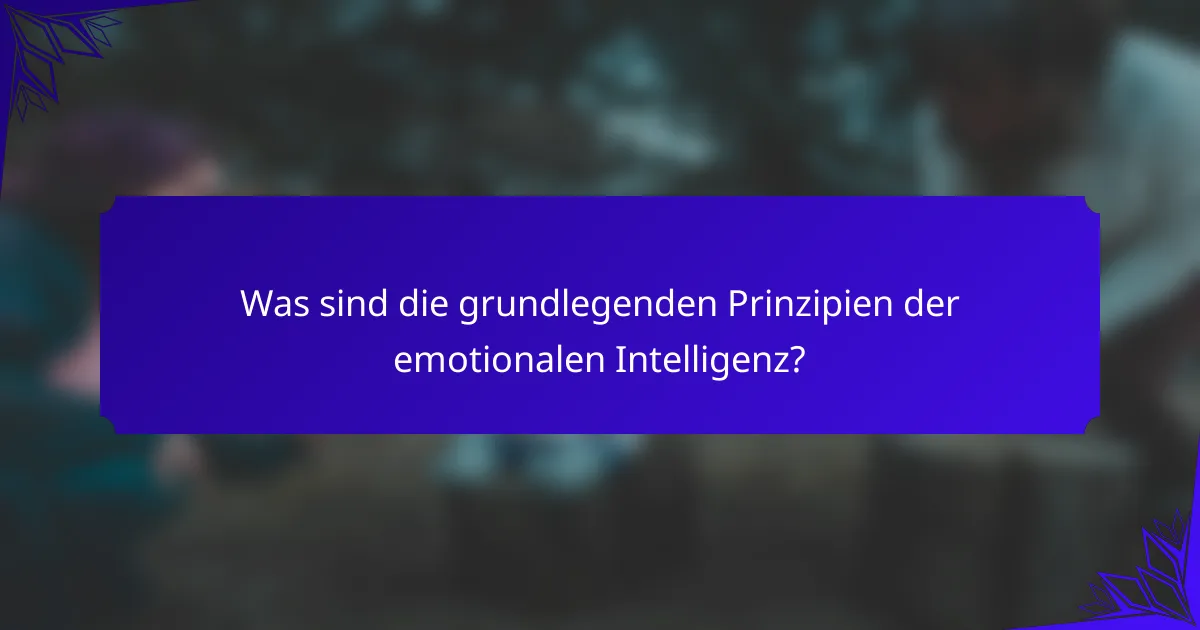 Was sind die grundlegenden Prinzipien der emotionalen Intelligenz?