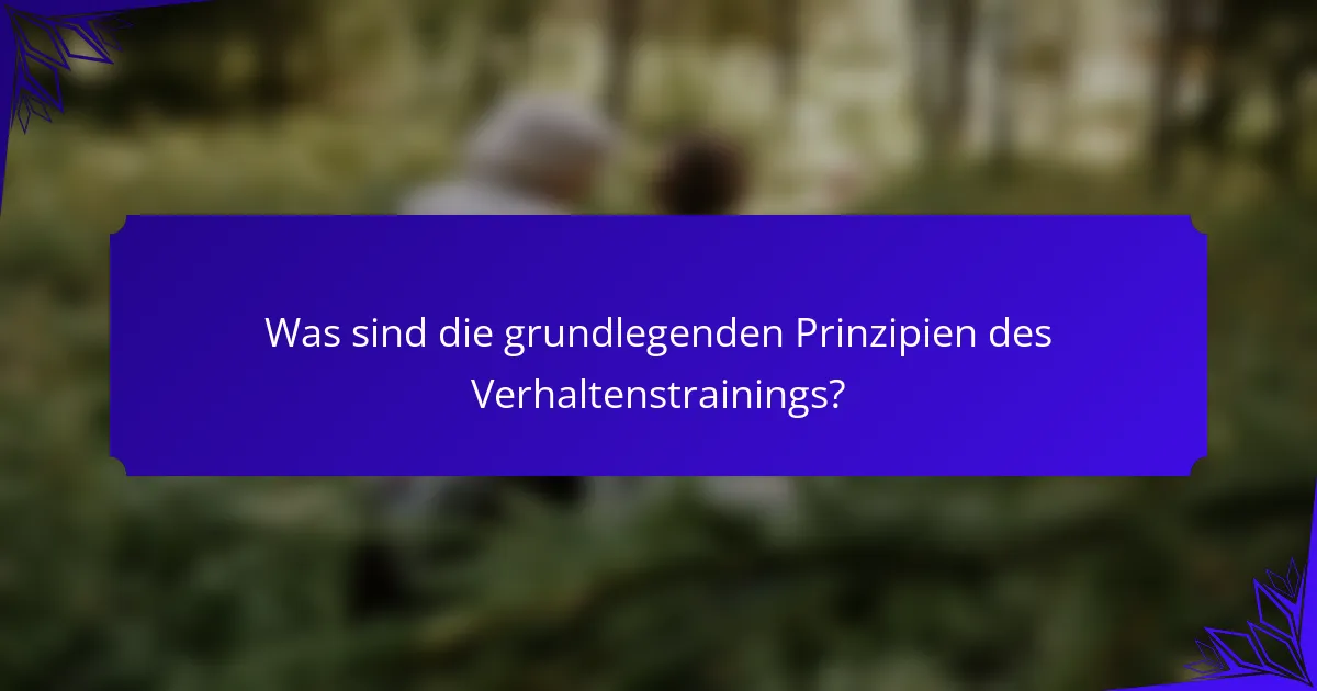 Was sind die grundlegenden Prinzipien des Verhaltenstrainings?