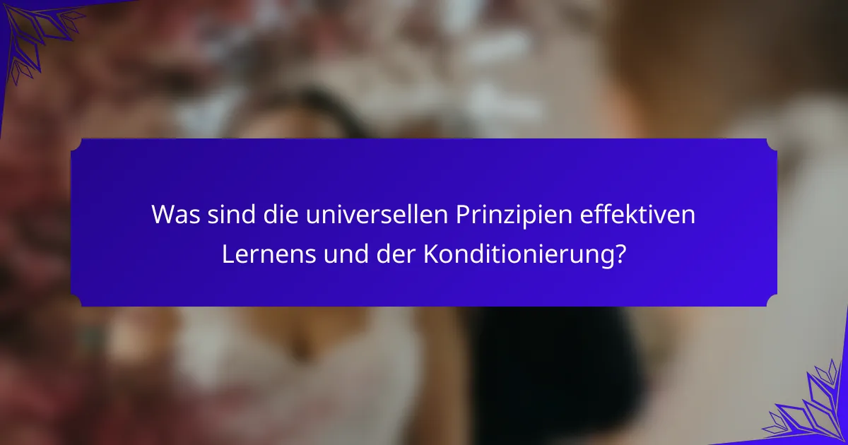 Was sind die universellen Prinzipien effektiven Lernens und der Konditionierung?
