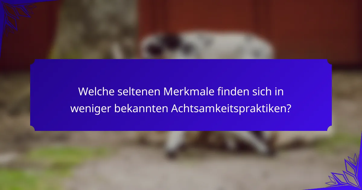 Welche seltenen Merkmale finden sich in weniger bekannten Achtsamkeitspraktiken?