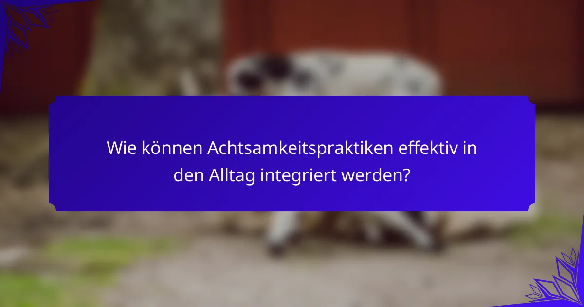 Wie können Achtsamkeitspraktiken effektiv in den Alltag integriert werden?